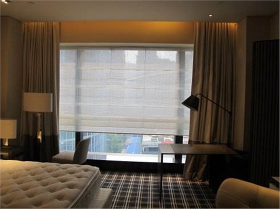 智能電動窗簾 智能電動窗簾